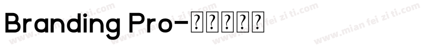 Branding Pro字体转换